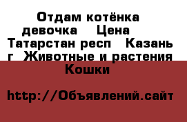 Отдам котёнка (девочка) › Цена ­ 1 - Татарстан респ., Казань г. Животные и растения » Кошки   